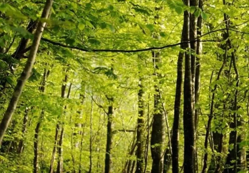 酒店 Farnham Estate Spa And Golf Resort