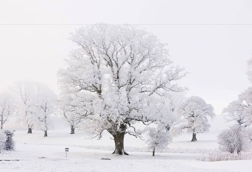 בית מלון כפרי Farnham Estate Spa And Golf Resort