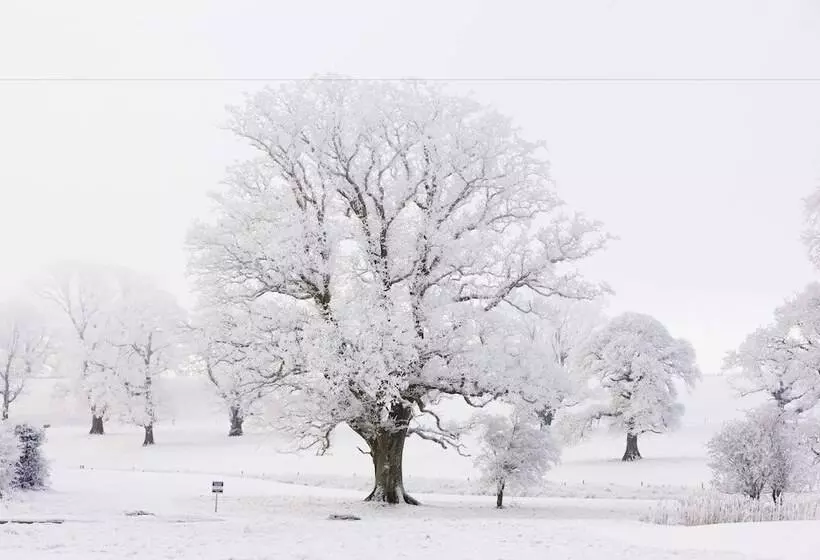 酒店 Farnham Estate Spa And Golf Resort