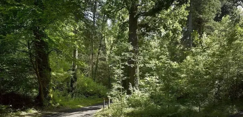 酒店 Farnham Estate Spa And Golf Resort