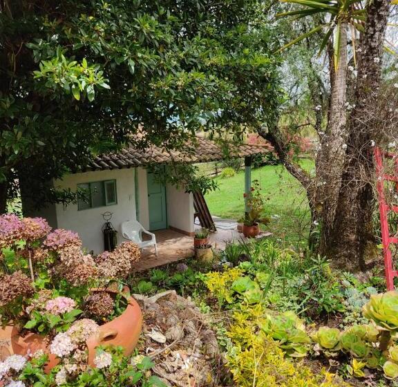 ホテル Macani Eco Glam