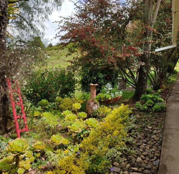 ホテル Macani Eco Glam