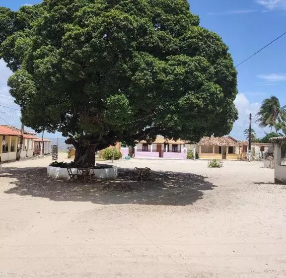 ホテル Mangue Seco Fantasias Do Agreste