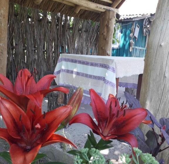 Pension (Hôtel basse catégorie) медова садиба