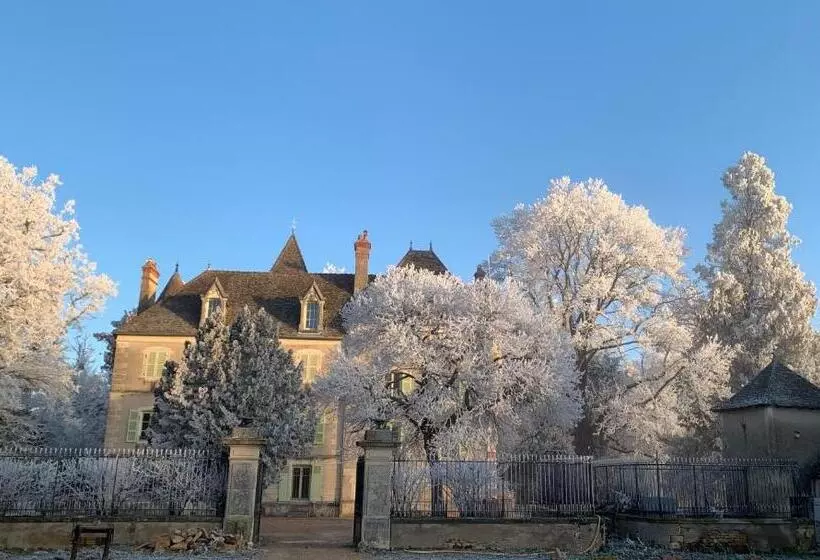 ペンション Château Du Mauny, Gîtes Et Chambres D Hôtes En Bourgogne
