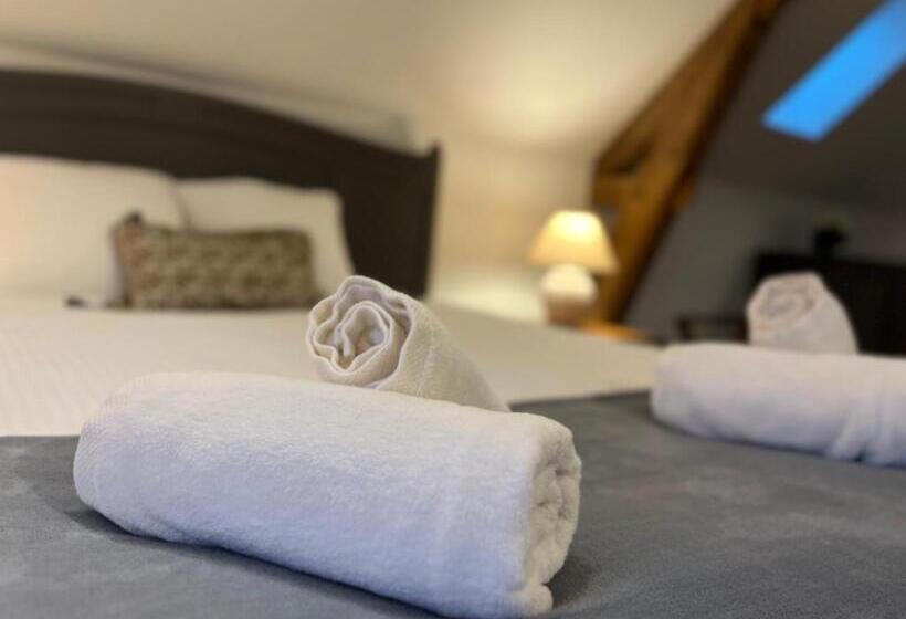 بنسيون Château Du Mauny, Gîtes Et Chambres D Hôtes En Bourgogne