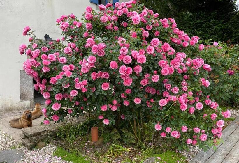 Bed and Breakfast Chez Nosch