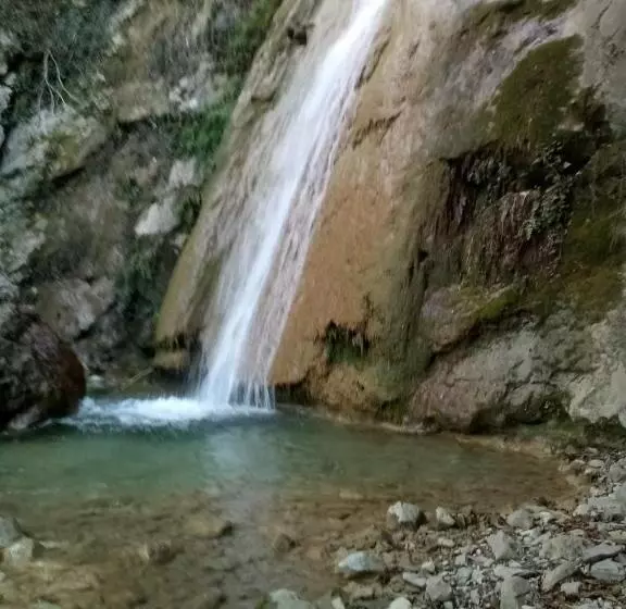 ホテル Agriturismo Vecchio Frantoio