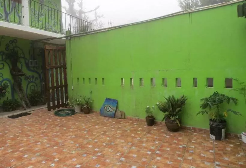 Hotelli Casa Verde Xilitla By Rotamundos