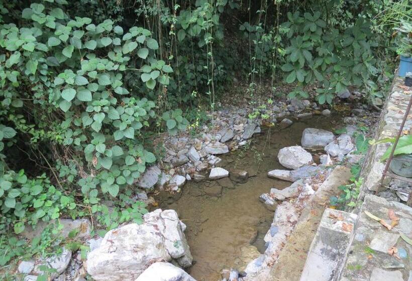 هتل Casa Verde Xilitla By Rotamundos