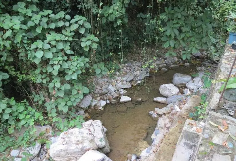 Hotelli Casa Verde Xilitla By Rotamundos