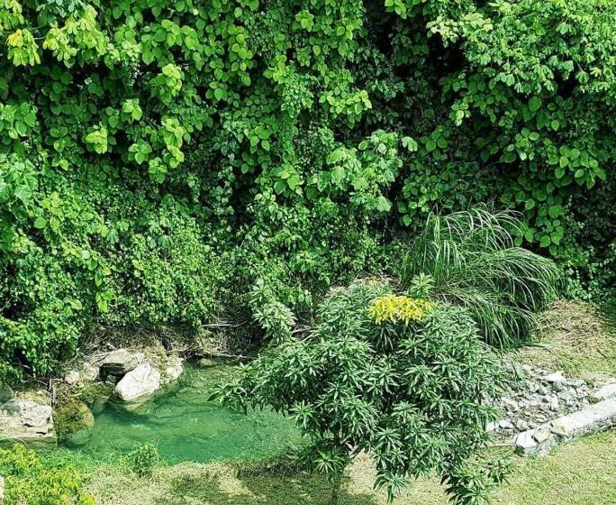 هتل Casa Verde Xilitla By Rotamundos