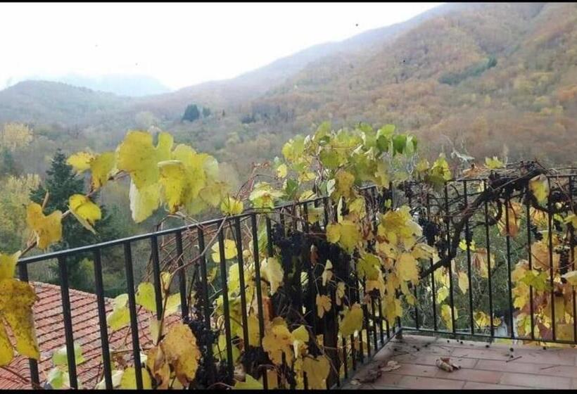 بنسيون Coletti Pietro Snc