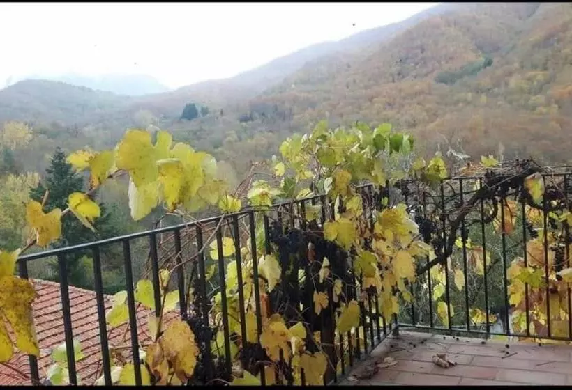 ペンション Coletti Pietro Snc