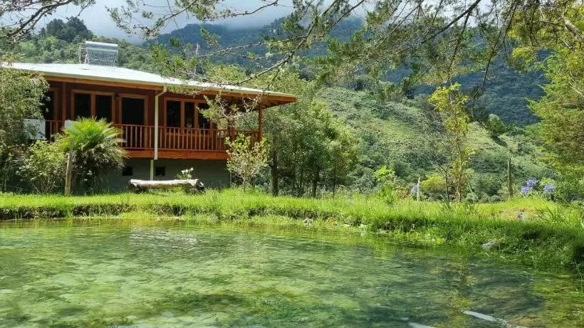 ペンション Mountain View Lodge