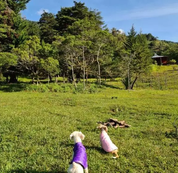 ペンション Mountain View Lodge