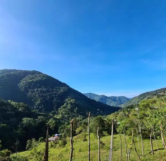 ペンション Mountain View Lodge