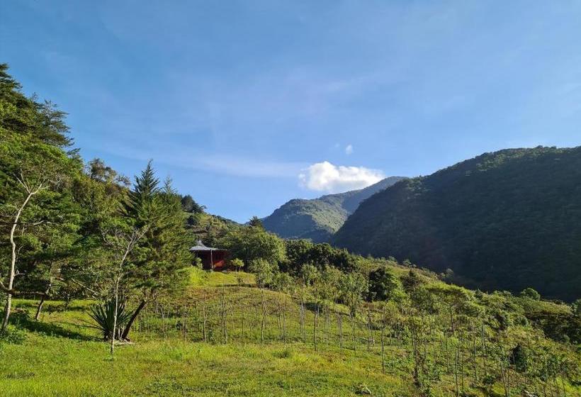 펜션 Mountain View Lodge