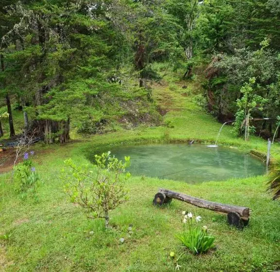 ペンション Mountain View Lodge