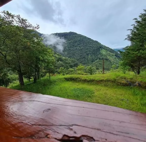 ペンション Mountain View Lodge