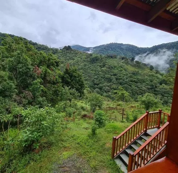 ペンション Mountain View Lodge