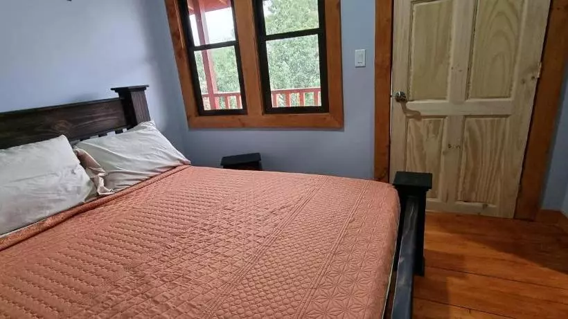 ペンション Mountain View Lodge