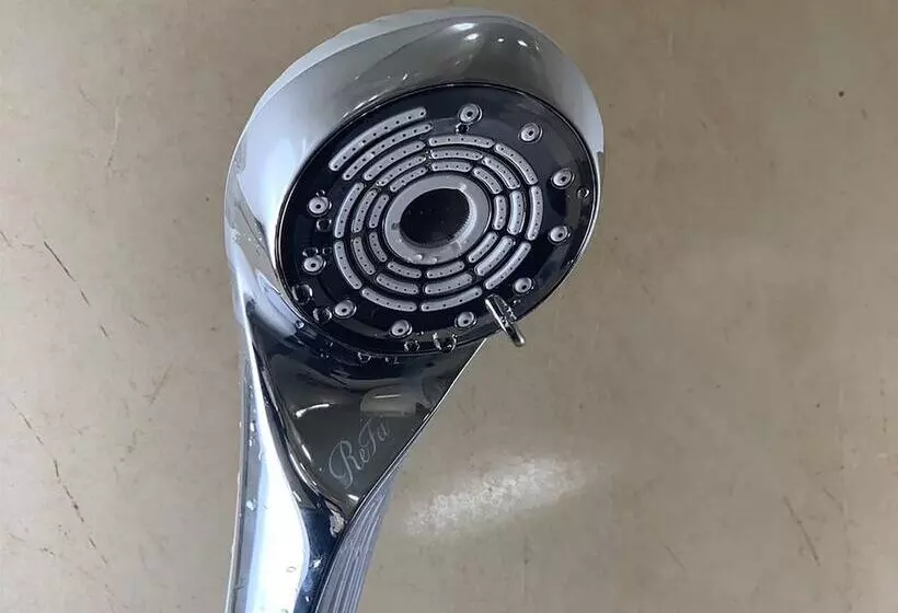 Green Rich Hotel Miyazakitachibanadori 2