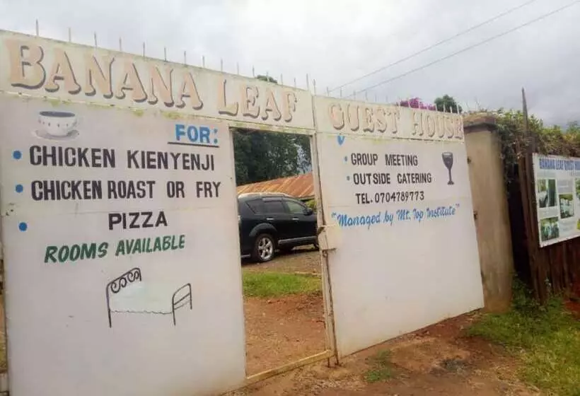 هتل Banana Leaf