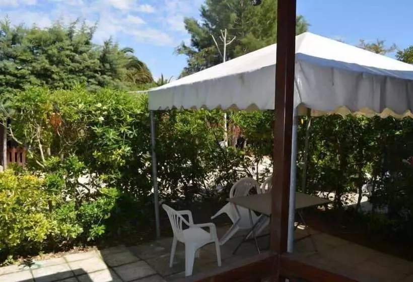 Hotelli Camping Barchi