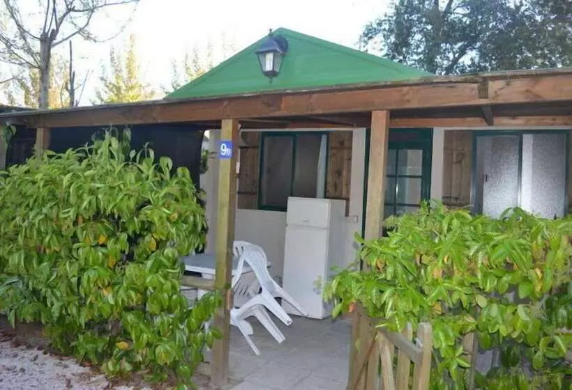 Hotelli Camping Barchi