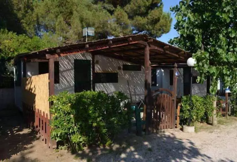 Hotelli Camping Barchi