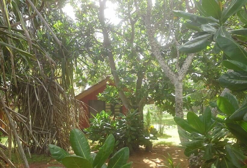 ホテル Dream Village Beach Resort & Cabanas