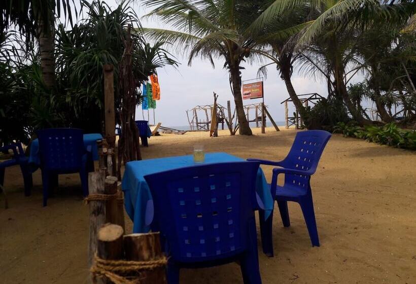 ホテル Dream Village Beach Resort & Cabanas