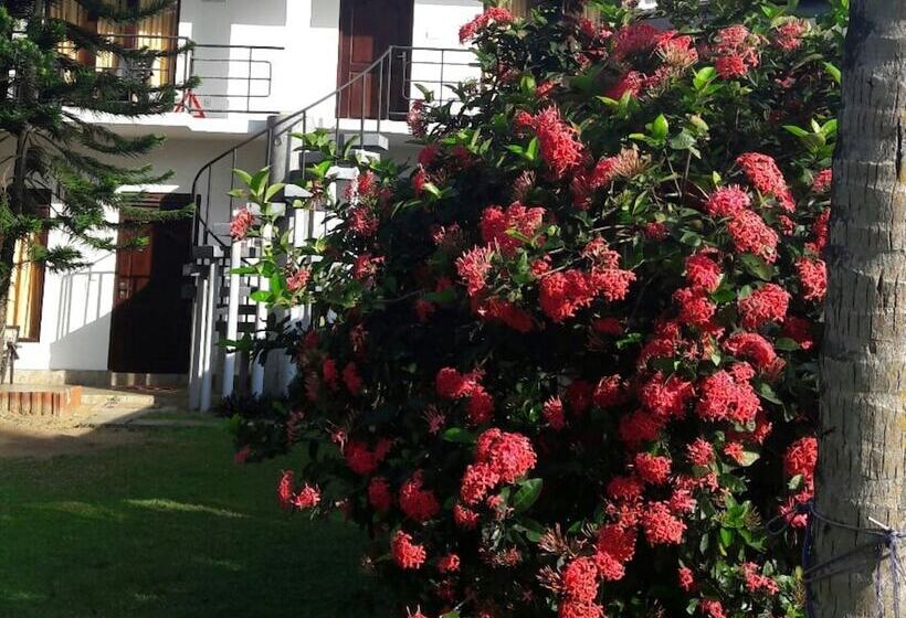 ホテル Dream Village Beach Resort & Cabanas