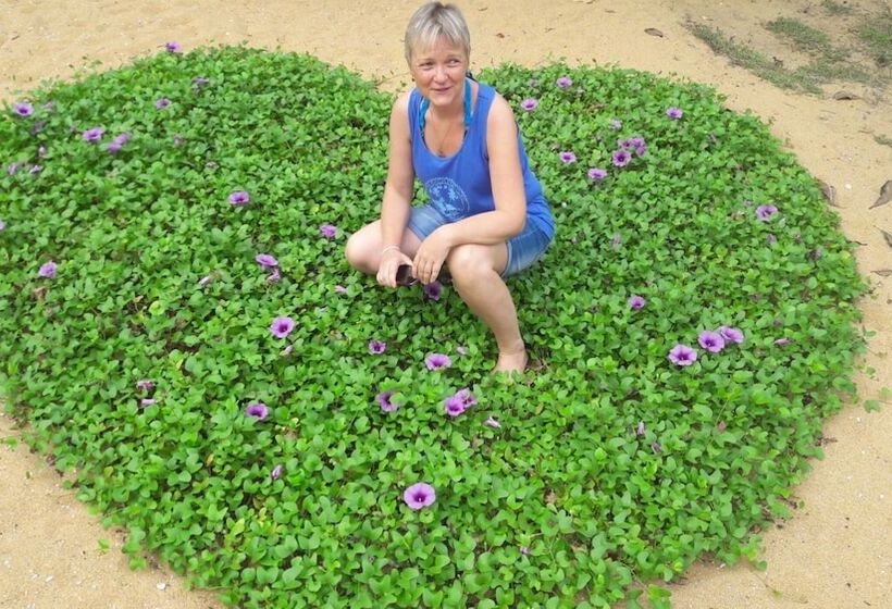 ホテル Dream Village Beach Resort & Cabanas