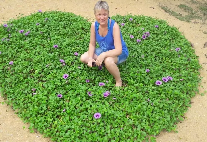 Hotelli Dream Village Beach Resort & Cabanas