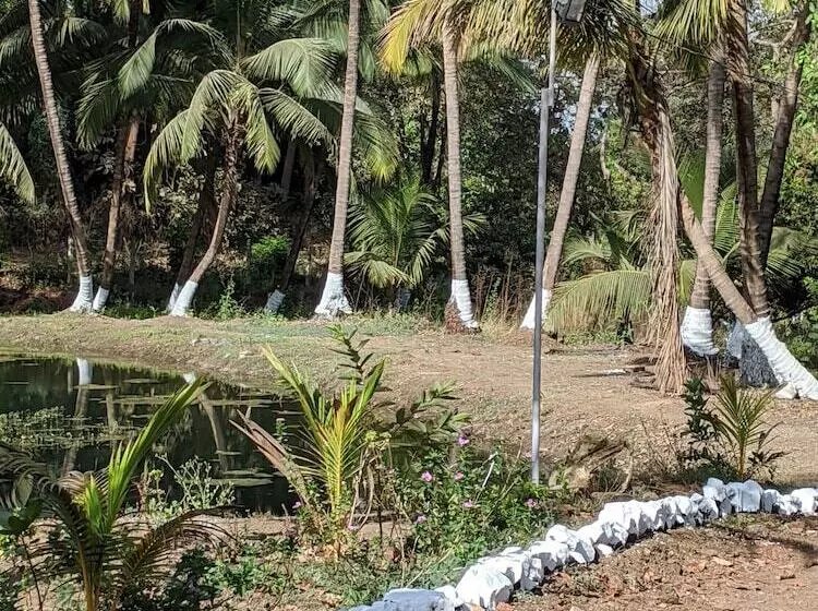 Hotelli Mango Tree Farm