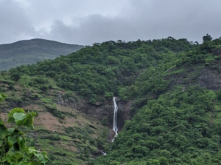 Отель Mango Tree Farm