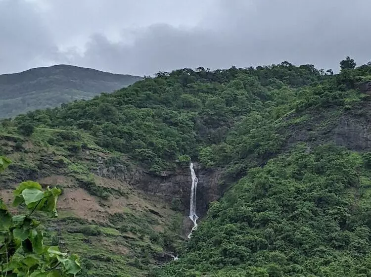 Hotelli Mango Tree Farm