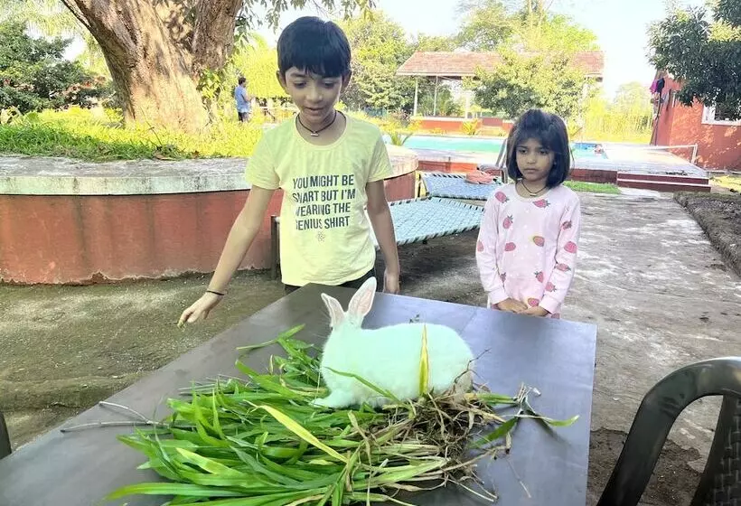 Hotelli Mango Tree Farm