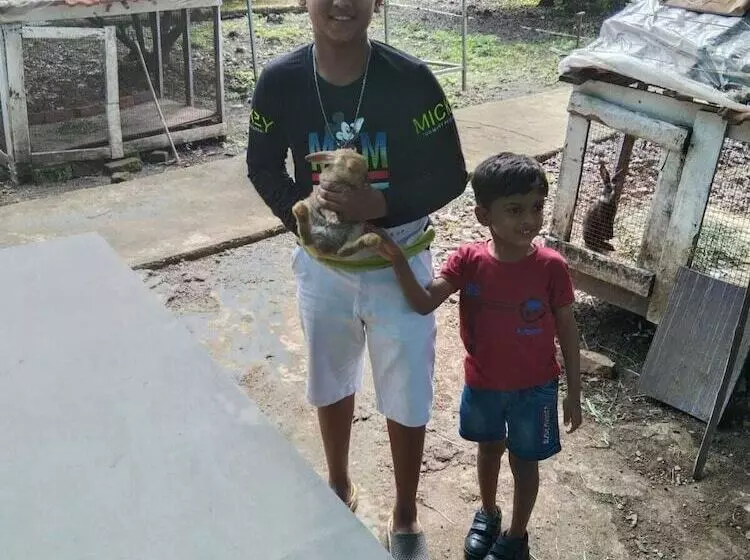 Hotelli Mango Tree Farm