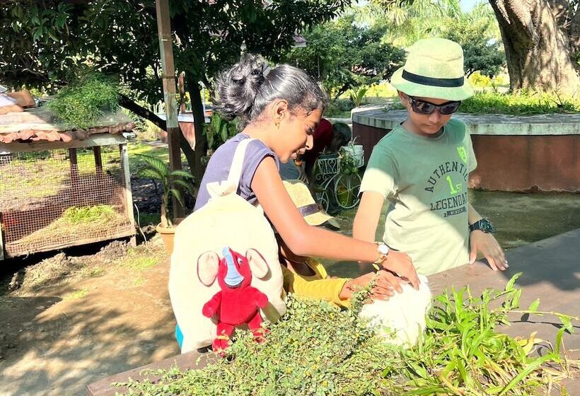 Отель Mango Tree Farm