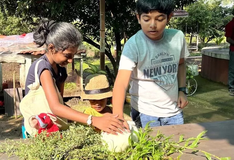 Hotelli Mango Tree Farm