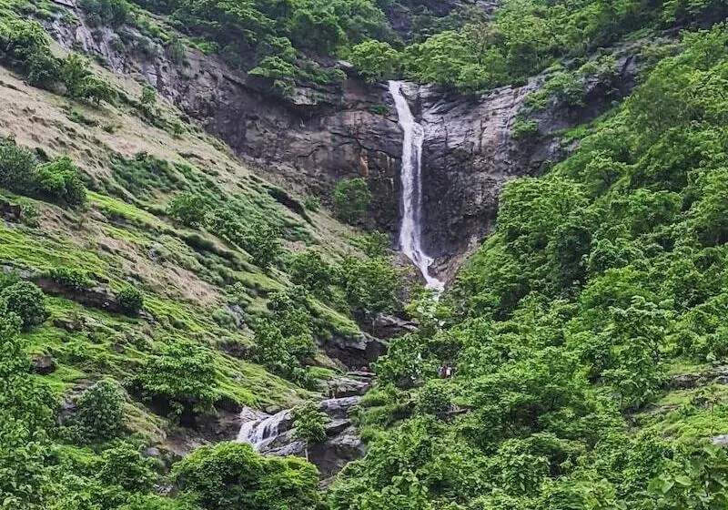 Hotelli Mango Tree Farm