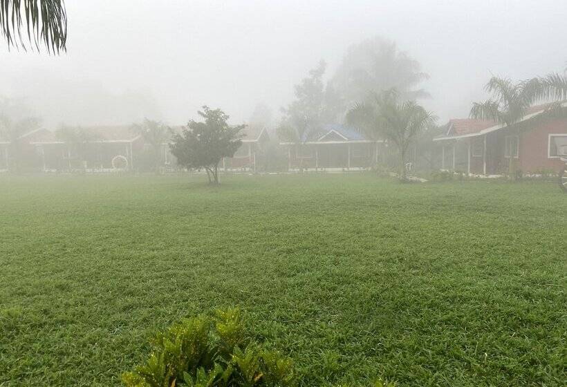 Отель Mango Tree Farm