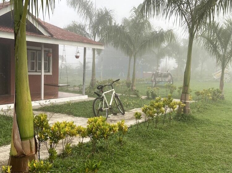 Отель Mango Tree Farm