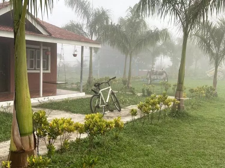 Hotelli Mango Tree Farm