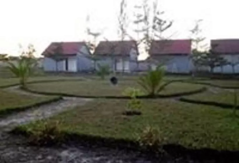 هتل Moyo Lodge