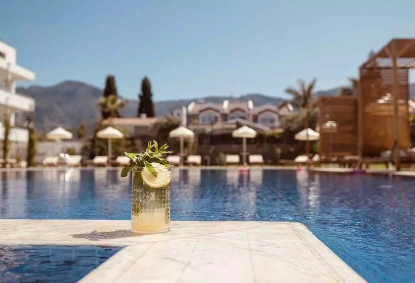 ホテル Palmonte Suites