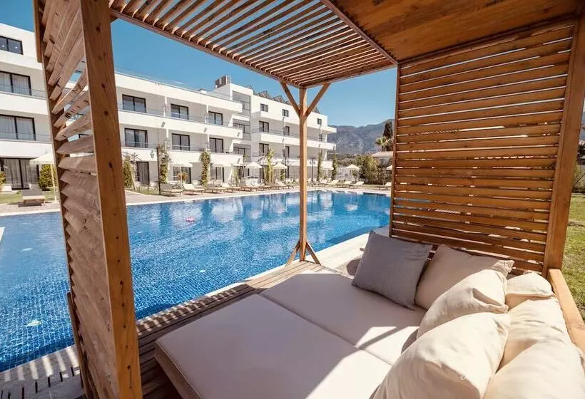 ホテル Palmonte Suites